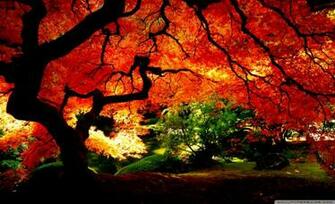 Most Beutiful Wallpaper The Great