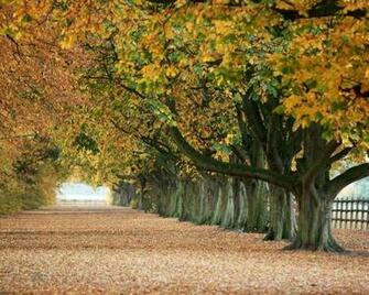 Pictures Nature Jpg