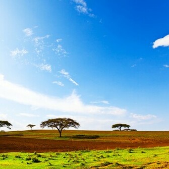 Grasslands Of Africa iPad Background Best Wallpaper