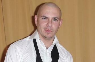 HD Pitbull New Desktop Wallpaper Image To