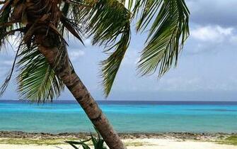 Best Cozumel Wallpaper Reefs