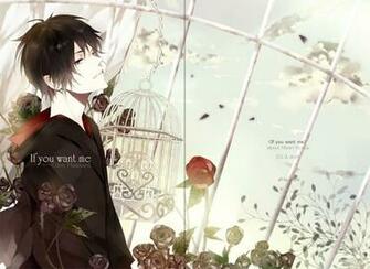 Hibari Kyoya Katekyo Hitman Reborn Zerochan Anime Image Board