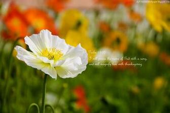Praise God S Name Wallpaper Christian And Background