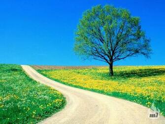 Spring Road Wallpaper 306kb