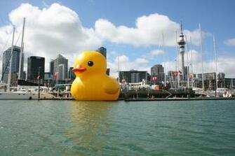 Rubber Ducks Wallpaper Animals HD Desktop