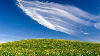 Spring Hill Wallpaper