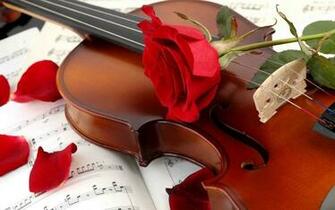 Red Roses HD Wallpaper