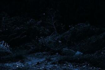 Dark Blue Background