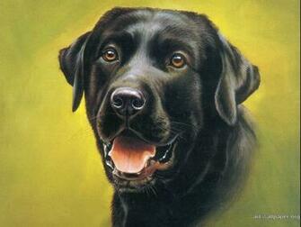 Animal Art Wallpaper X