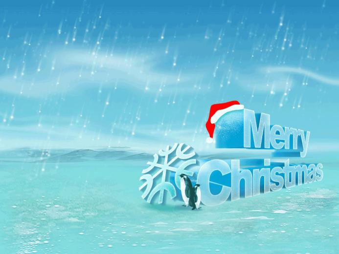 Penguin Christmas Wallpaper Computer