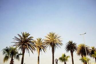 California Desktop Wallpaper Top