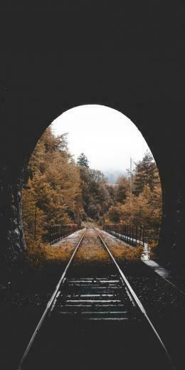 Wallpaper