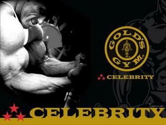 Golds Gym Wallpaper Image Pictures Becuo