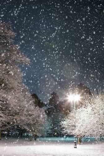 Winter iPhone Wa