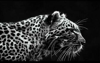 Black Bg HD Digital Dark Theme Wallpaper For
