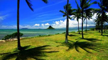 Hawaiian Desktop Wallpaper On