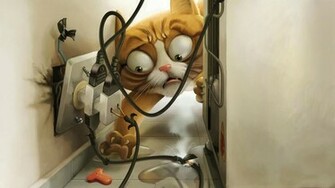 Crazy Cat HD Cool Wallpaper
