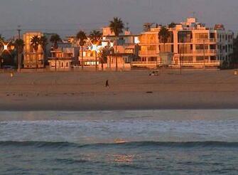 Related Pictures Venice Beach Mobile Wallpaper