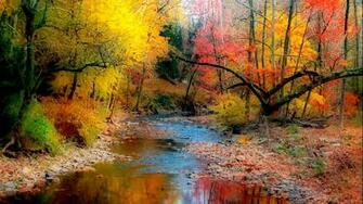 Autumn Variety Of Color Trees With Yellow Green Leaves And