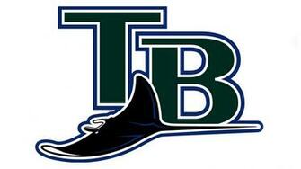 Tampa Bay Rays Wallpaper Image Photos Pictures Background