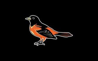Baltimore Orioles HD Wallpaper Pictures
