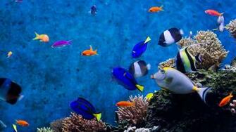 UHD Wallpaper Ultra High Definition 4k