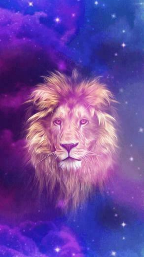 Destinee Villasenor On Art Lion Wallpaper