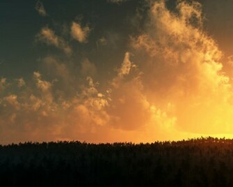 Over The Forest Fire Wallpaper Desktop Replacement