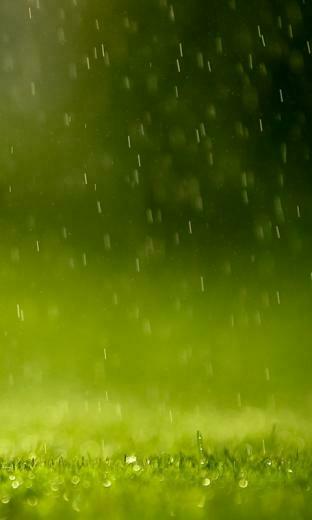 Windows Phone Wallpaper Nature