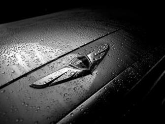 Behind The Badge What Logo Will Hyundai Use For Its