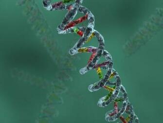 3d Dna Wallpaper Chain