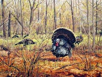 Turkey Hunting Paintings Sporting Art Oil Painting