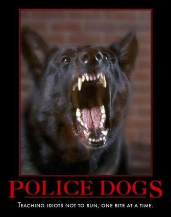 Here Are Some Police K9 Motivational Posters A Friend Sent Me Enjoy