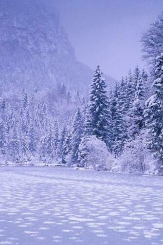 Winter Wallpaper Nice Paper Wall HD