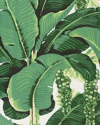 With Dorothy Draper S Brazilliance Wallpaper