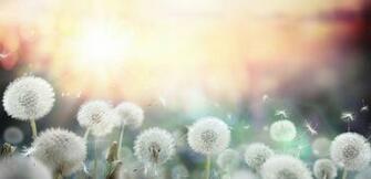 Common Allergies Symptoms Holistic Medicine Indianapolis
