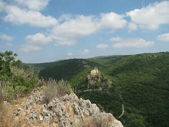 Israel Landscape Mountains Forest Trees Woods