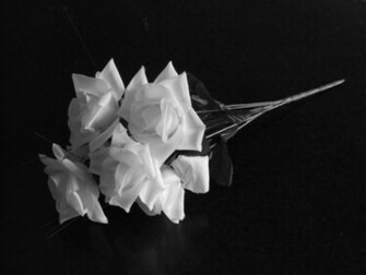 Roses Wallpaper Black And White HD Background