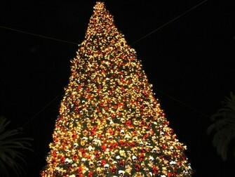 HD Christmas Tree Wallpaper And Background