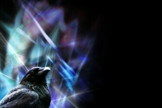 Sharp Raven Wallpaper By Ladyluminal