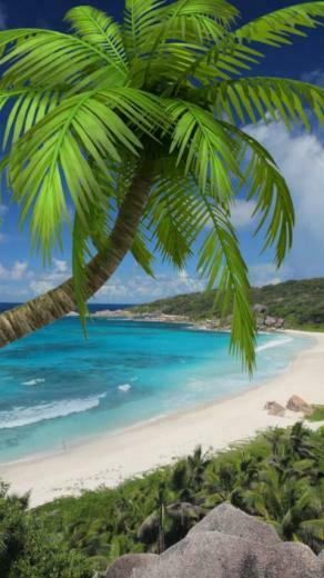 Beach Live Wallpaper With Ocean Sounds Realistic Wave
