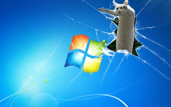 Longcat Background Know Your Meme