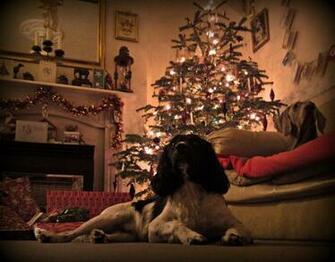 The Night Before Christmas Wallpaper