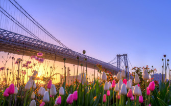 Nyc Spring Wallpaper