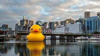 Giant Rubber Duck Installation