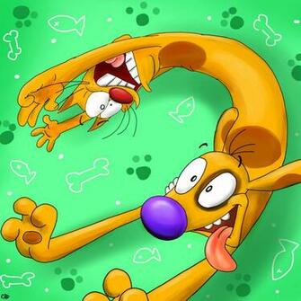 Catdog Image HD Wallpaper And Background Photos