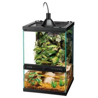 Tropical Vertical Kits Terrarium Zilla