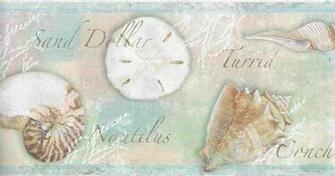 Sea Shells Wallpaper Border Coastal Nautical