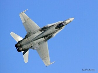 Hornet Wallpaper
