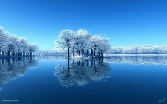Beautiful Winter Scene Wallpaper